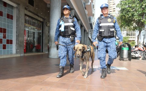Los canes rescatados, que pertenecen al Escuadrón Esparta, ayudan en la tarea de seguridad en la ciudad.