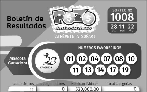 _BOLETIN POZO 1008, MARTES 28 DE NOVIEMBRE 2022