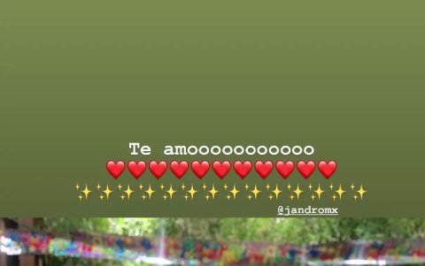 Palabras de cariño compartidas en Instagram de la artista.