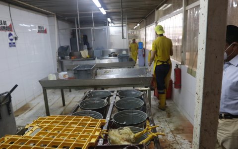 Suciedad. Este es un negocio en la vía a Daule donde son faenadas las aves, fue uno de los locales que ayer fueron citados por la comisaria, en el operativo ejecutado con el gobernador del Guayas.