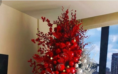 Árbol utiliza dos colores contrastantes