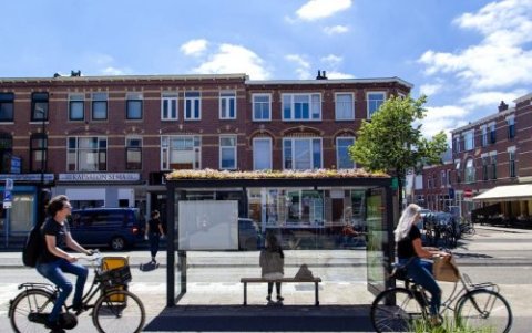 Mini jardines en las estaciones de bus
