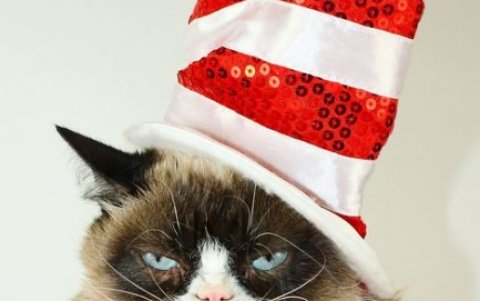 @realgrumpycat. Falleció en 2019, sigue siendo el gato más viral de todo Internet.