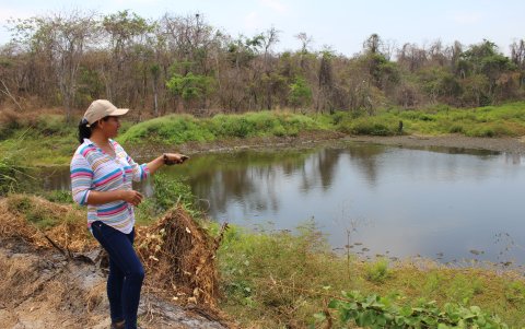 Naturaleza. Con el proyecto se prevé proteger 160 hectáreas del bosque.