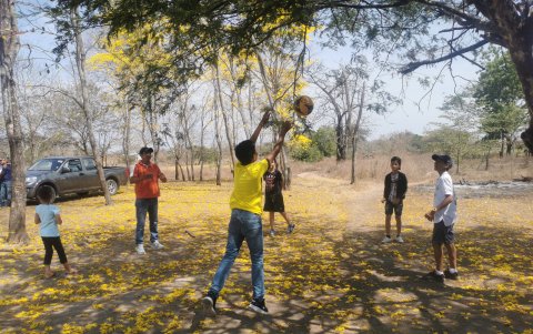 Los niños juegan en medio de los guayacanes cada fin de semana.