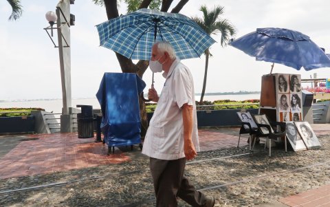 La sombra es vital no solo para los adultos mayores, sino que para toda la comunidad.