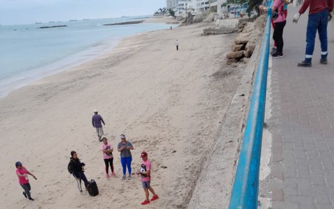 La especie se encontraba al pie del Malecón. La ciudadanía ayudó a que permanezca en calma.
