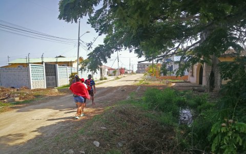 Maleza. En la ciudadela hay maleza, agua empozada, no hay bordillos, tampoco veredas ni las suficientes áreas verdes.