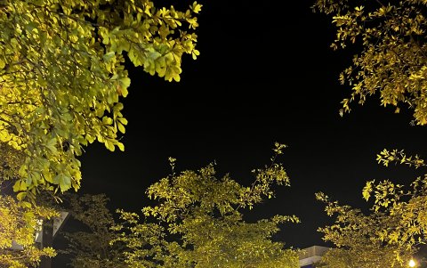 La oferta gastronómica es amplia.