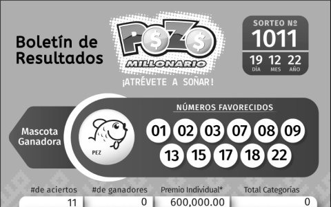 BOLETIN POZO 1011, LUNES 19 DE DICIEMBRE_2022