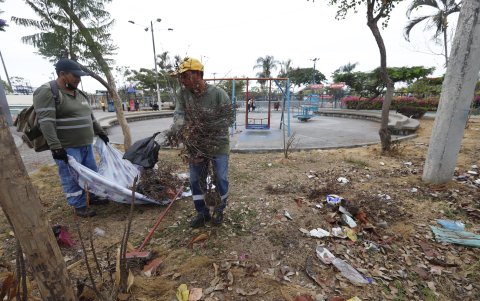 Áreas verdes. Aunque recojan las ramas marchitas, es evidente la aridez.