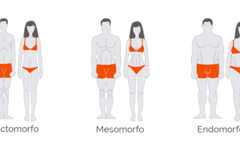 Imagen referencial de tipos de cuerpos.