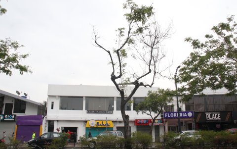 Pedido. La ciudadanía aguarda una intervención.