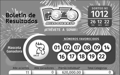 BOLETIN POZO 1012, LUNES  26 DE DICIEMBRE DE 2022