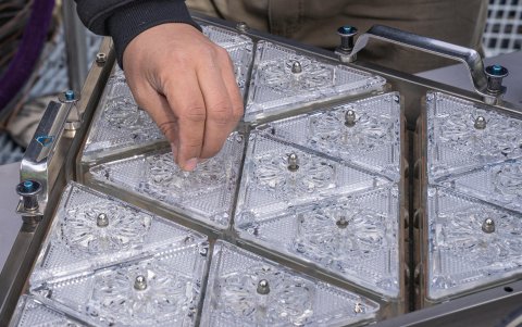 La celebración de Nochevieja en Times Square se remonta a 1904, cuando el entonces editor del periódico The New York Times, Adolph Ochs, quiso organizar por la Nochevieja de ese año un espectáculo de fuegos artificiales en la azotea de la flamante sede del diario para marcar el traslado del medio a sus nuevas oficinas en la plaza.