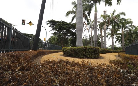 En el redondel de la ciudadela Ferroviaria se observan áreas verdes descuidadas.