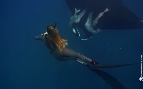 Buscó apoyo internacional para financiar su idea.