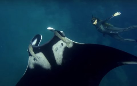 El acercamiento fue alucinante