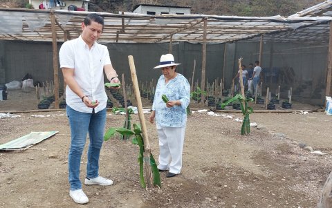 Martha Mora Gutiérrez, decana de la facultad, recorre las parcelas demostrativas de cultivos.