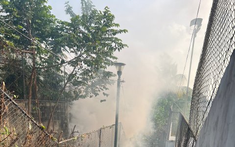 En el sitio se cortó la maleza y se fumigó. Las quejas allí se habían multiplicado por la cantidad de mosquitos que había también.