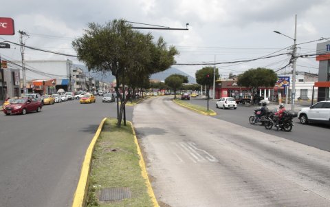 Arbolado. Mejorarlos ayudaría en la calidad del aire y condición de vida de los peatones y residentes