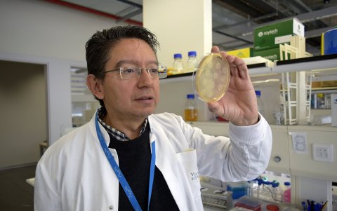 Investigación. Alfonso Jaramillo, director del Laboratorio de Biología Sintética De Novo del I2SysBio.