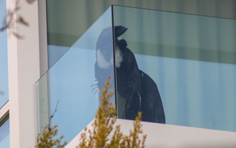 La bruja que ha colocado Shakira en la terraza de su mansión de Barcelona da a la cocina de Moserrat Bernabeu.