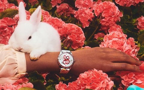 Ropa, y accesorios como aretes, zapatos y relojes son parte de la firma Gucci