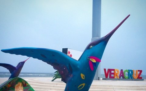 En Veracruz, Venezuela, Xavier puso color a las esculturas de aves.