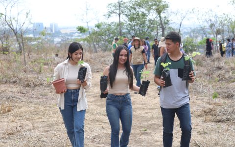 Acciones. Diferentes especies nativas se sembraron.