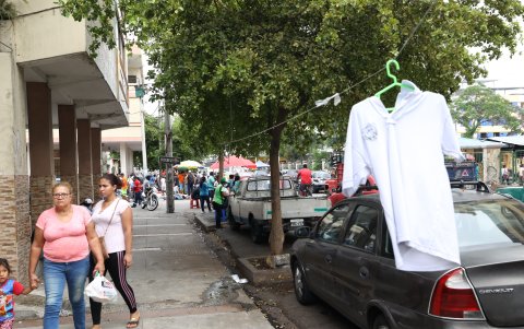 Entorno. En el sitio existe una fila de árboles de gran tamaño que está envuelta en marañas de tallarines que incluso tocan ya el suelo.
