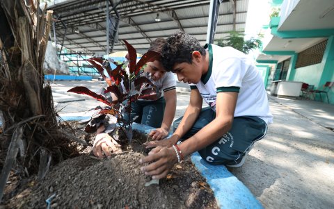 Los estudiantes del Francisco Campos Coello prendieron a elaborar compost para reforestar las áreas verdes de la institución.