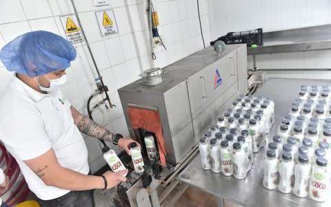 Ventas. Varias marcas que se han lanzado a este mercado, han presentado un crecimiento considerable hasta el 2022.