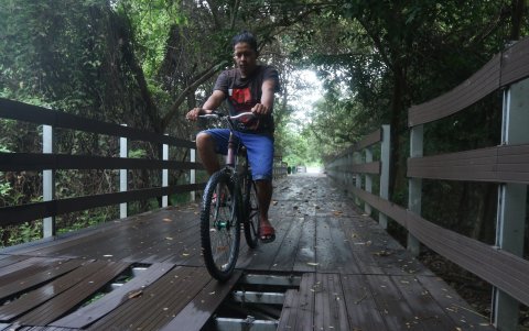 Las camineras de la isla Santay se encuentra en pésimo estado