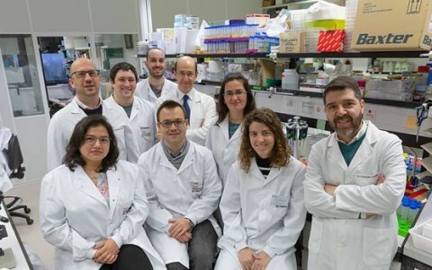 Los investigadores son Shruthi Narayanana, Mariano Ponz Sarvise, Haritz Moreno, Rodrigo Entrialgo, Fernando Lecanda, Elizabeth Guruceaga, Iker Feliu, Irati Macaya y Silvestre Vicent.