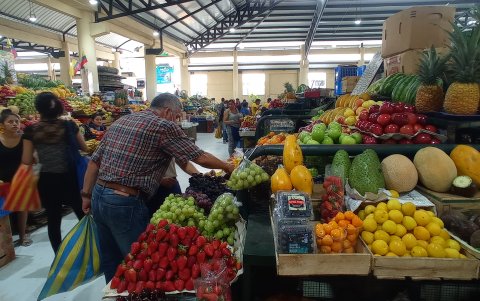El Mercado Central es una gran expensa de frutas y verduras.