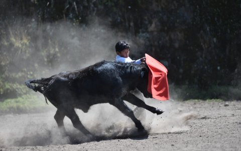 Ruedo. Isaac torea un novillo de la hacienda de Bladimir Acosta.