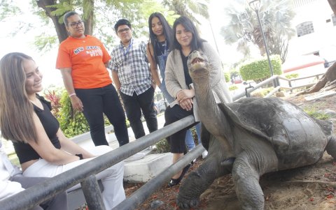 Visita. Los visitantes contemplan a estas especies de paso lento cuyas edades fluctúan entre los 75 y 140 años.
