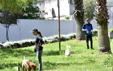 Mascotas. Hay vecinos que no recogen la suciedad de sus animales