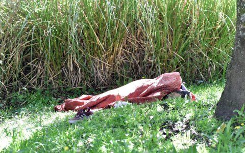 Espacios. En zonas verdes poco transitadas los mendigos la usan para pernoctar.
