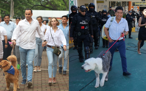 Las mascotas de Duart y Yunda.