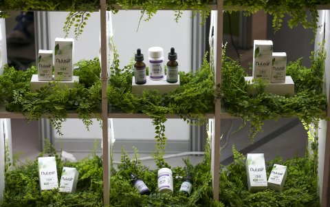 El cuarto Encuentro de Profesionales Expertos en Fitocannabinoides,  reúne en Quito a alrededor de medio centenar de especialistas en la materia, entre científicos, reguladores y médicos.