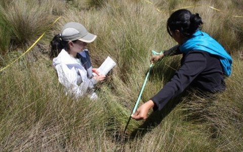Raffaella  Ansaloni es doctora en Ciencias Agrarias. Su área de investigación es la Botánica y la Etnobotánica.