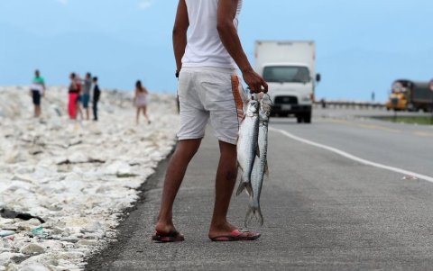 Los pescadores ofrecen sus productos al público