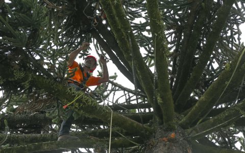 El proyecto visitará 