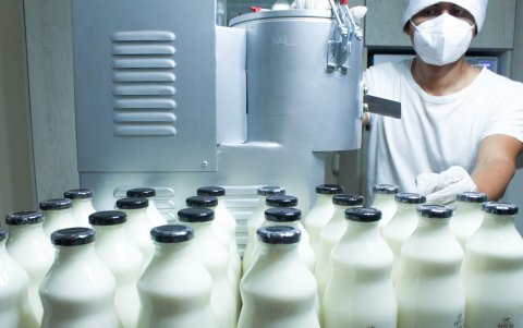 Tiempo. Para marcas más pequeñas que producen desde casa la bebida, el proceso para producir al menos 20 litros de esta ‘leche’, les toma alrededor de una hora y media.
