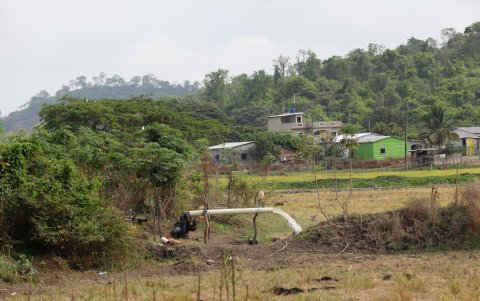 Uso. Agricultores usan agua de esta desembocadura del río Daule con menor frecuencia, por su contaminación.