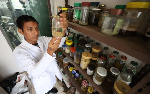 Las especies recolectadas se conservan en frascos con etiquetas, antes de ser procesadas.