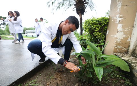 En la Facultad de Ciencias Naturales hay plantas en crecimiento que sirven para el análisis de los estudiantes.
