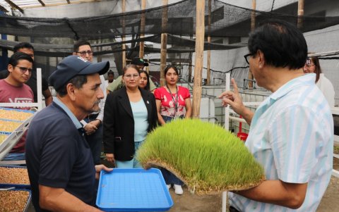 Forraje. En la bandeja se mezclan los productos.